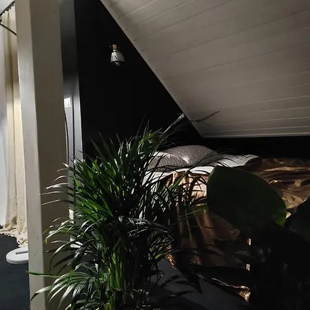 Lipowa 3 Apartment *