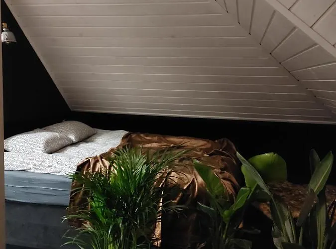 Апартаменты Lipowa 3 *