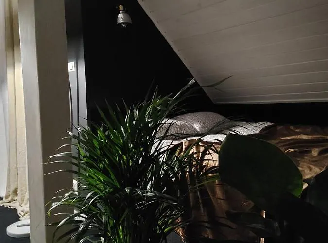 Lipowa 3 Апартаменты *